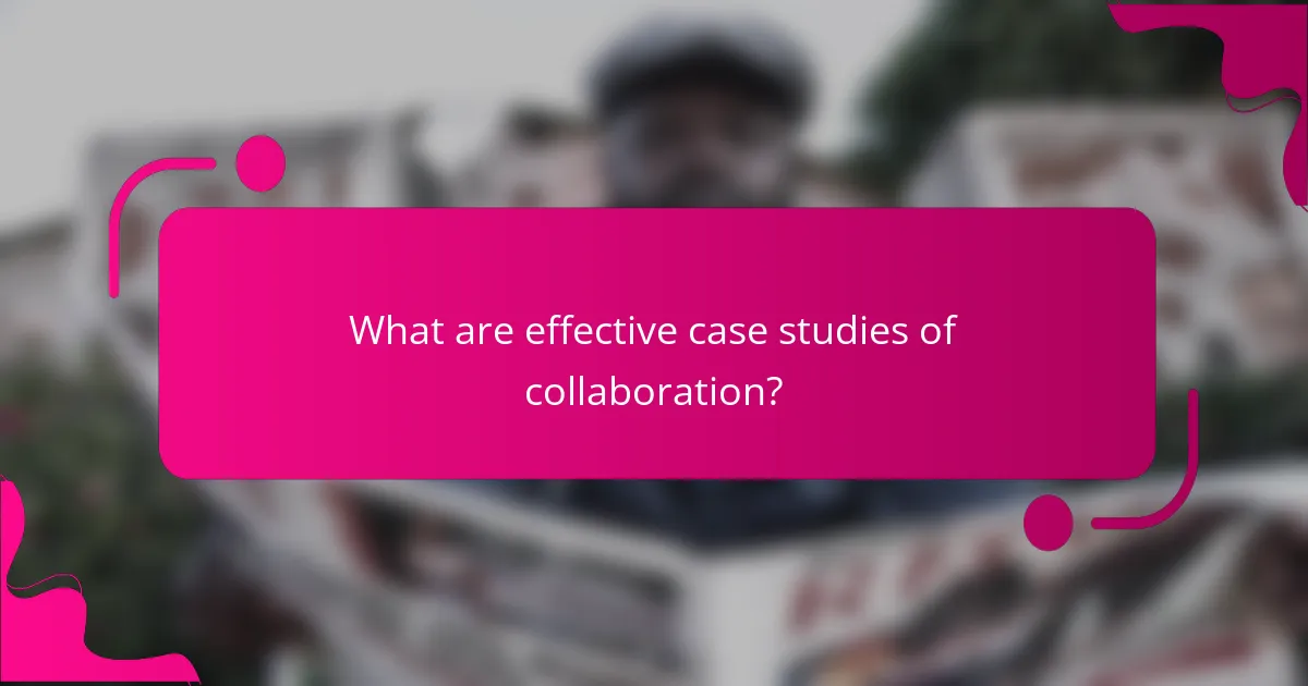 What are effective case studies of collaboration?