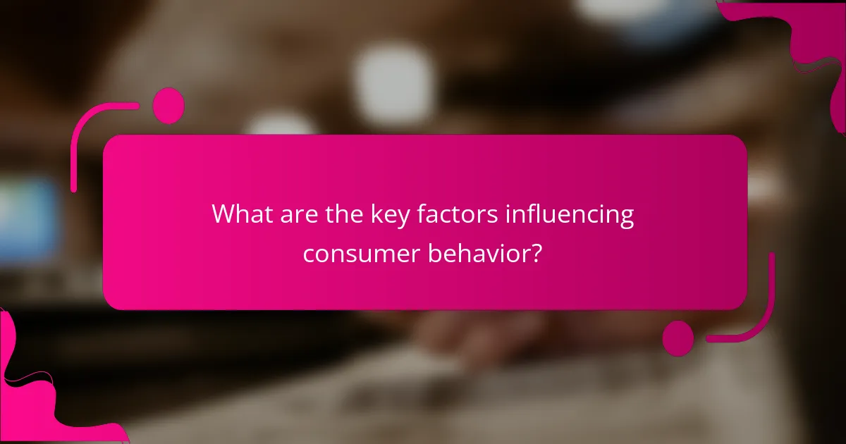 What are the key factors influencing consumer behavior?