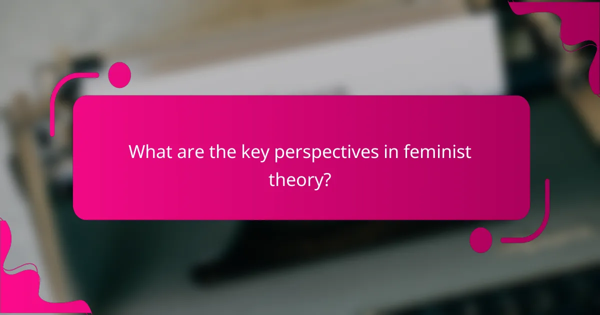 What are the key perspectives in feminist theory?