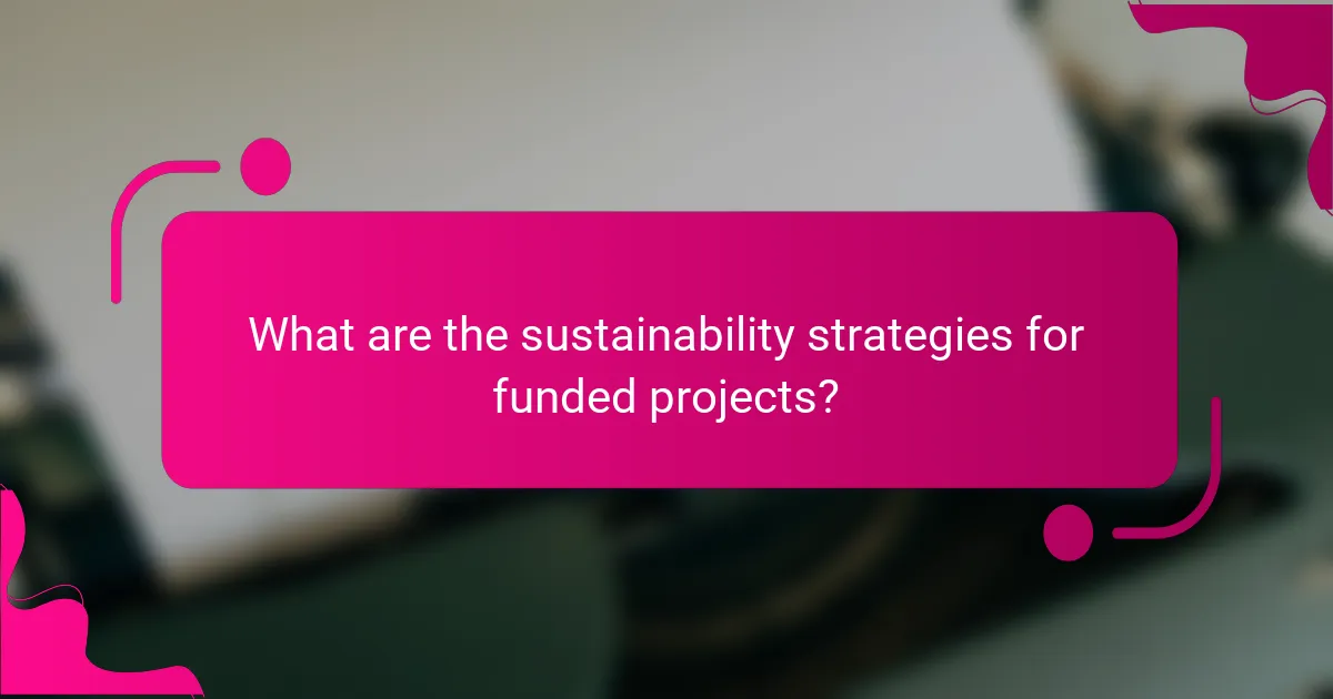 What are the sustainability strategies for funded projects?