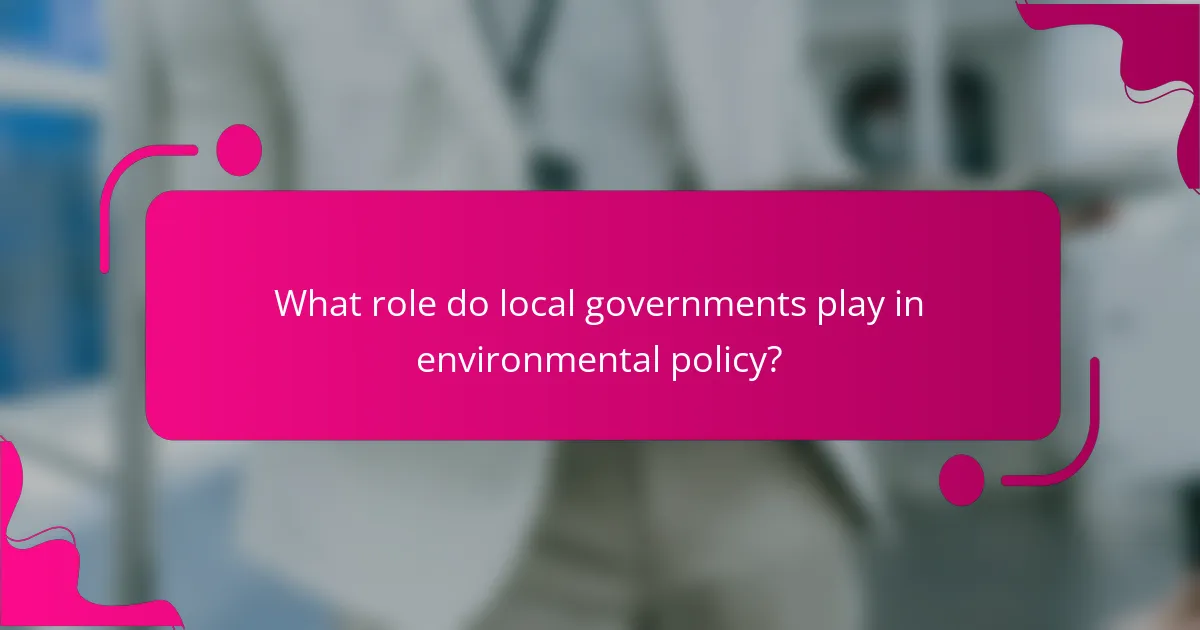 What role do local governments play in environmental policy?
